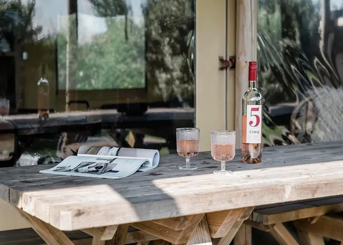 Woodlodge In Duynpark With Panoramic Views Callantsoog